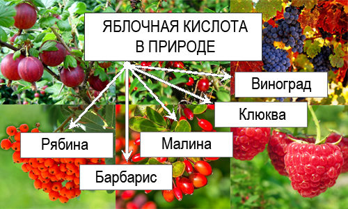 Применение Е296 Яблочная (малоновая) кислота