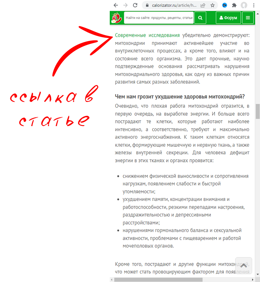 SEO-продвижение, ссылка в статье