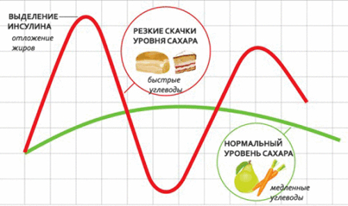 Правильное питание - залог здоровья