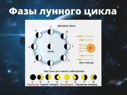 Влияние лунного цикла на организм