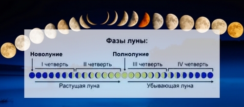 Особенности похудения по лунному календарю