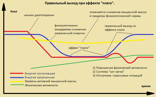 Эффект плато во время диеты и как его побороть