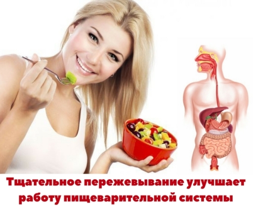 Улучшение пищеварения