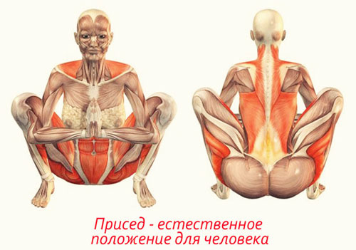 Многое, что мы умеем с детства и что нам заложено природой мы осваиваем заново