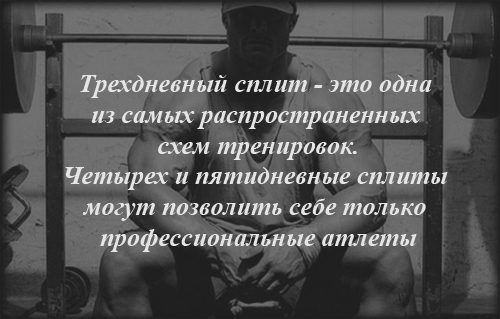 Для большинства посетителей тренажерных залов подойдут двухдневные и трехдневные разделения