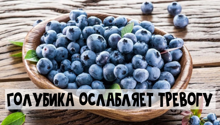 5 продуктов, которые поднимают настроение - голубика