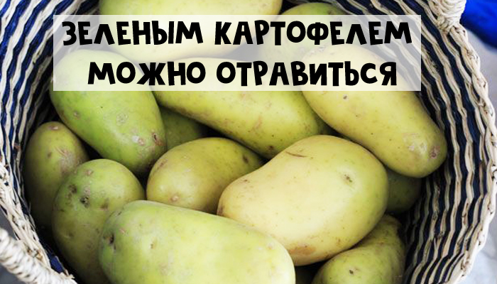 7 продуктов на вашем столе, которые могут вас убить - зеленый картофель