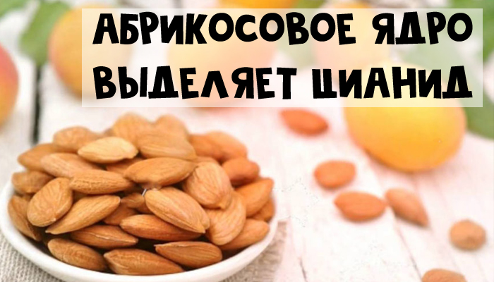 7 продуктов на вашем столе, которые могут вас убить - Абрикосовое ядро