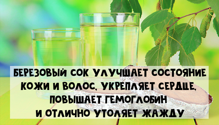 Березовый сок: 6 неожиданных полезных свойств