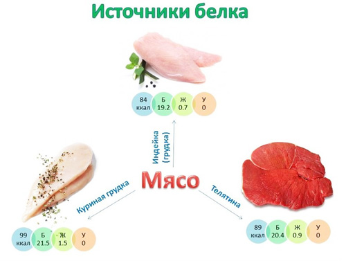 Продукты - поставщики белка