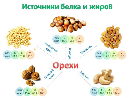 Продукты - поставщики белка и ненасыщенных жиров