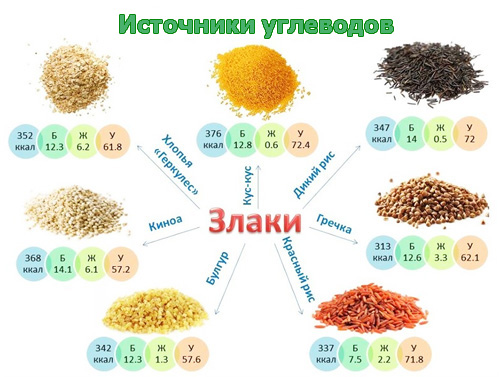 Продукты - поставщики углеводов