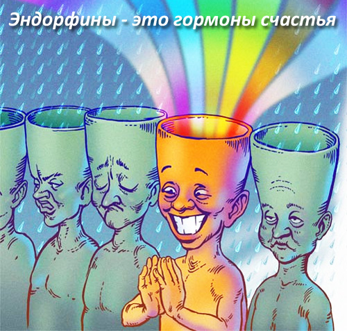 Что такое эндорфины?