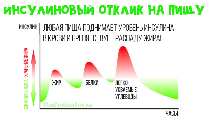 Инсулиновый отклик на пищу