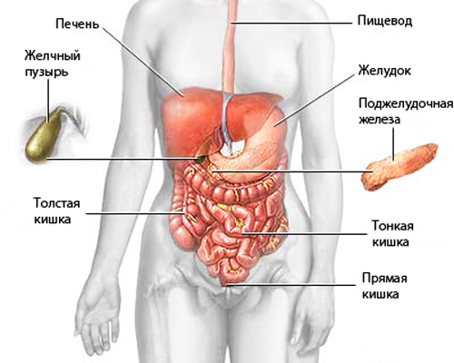 Очищение организма в домашних условиях