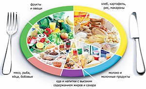 Правильный рацион питания