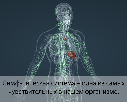 Воздействие массажа на организм