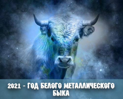 Новый 2021 год – год какого животного?