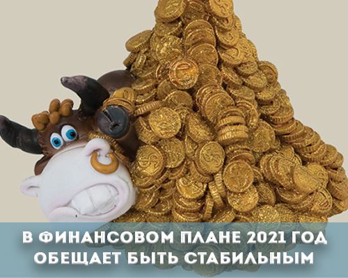 Финансовая сфера в Новом 2021 году