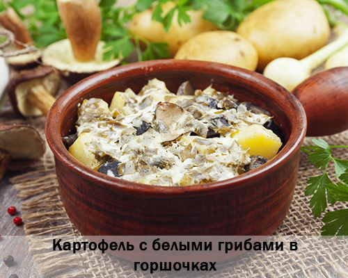 Картофель с белыми грибами в горшочках