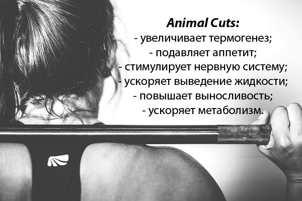 Animal Cuts