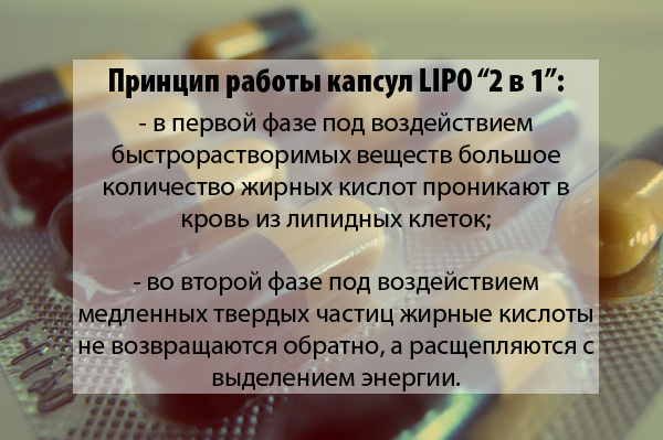 Как Lipo 6 работает