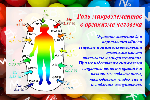 Роль микроэлементов в организме человека