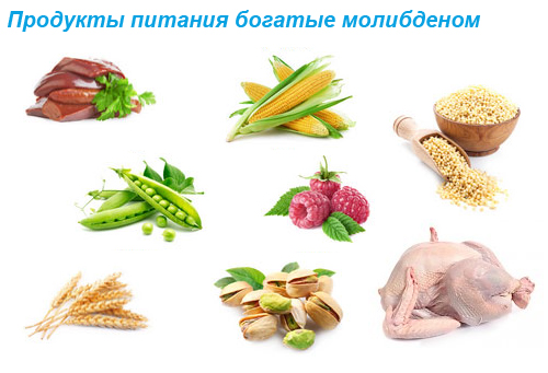 Продукты питания богатые молибденом