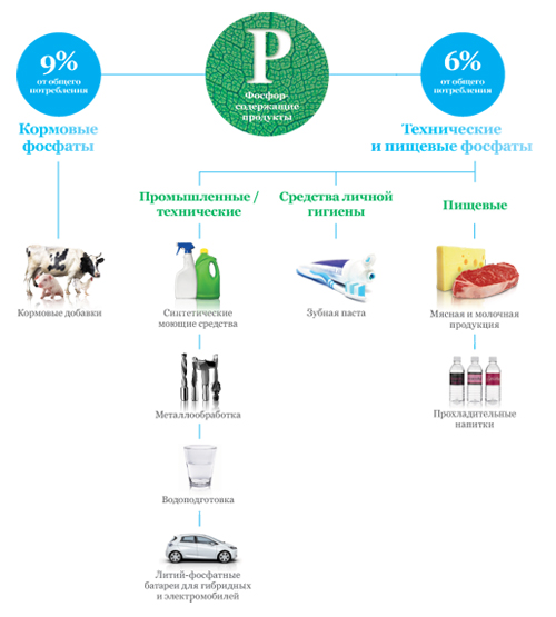 Применение фосфора в жизни