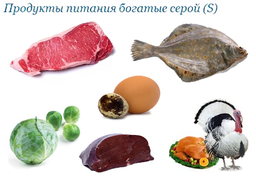 Продукты питания богатые серой