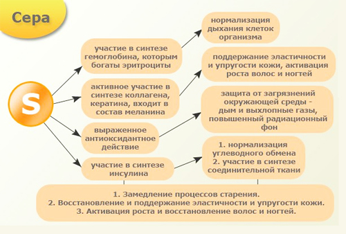 Полезные свойства серы и его влияние на организм