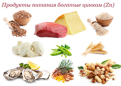 Продукты питания богатые цинком 