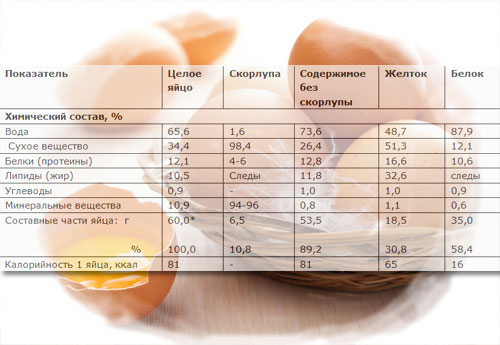 Калорийность желтка куриного яйца