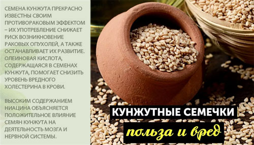 Состав и полезные свойства кунжута