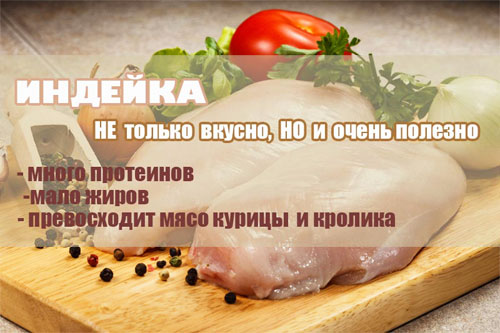 Состав и полезные свойства индейки (грудка)