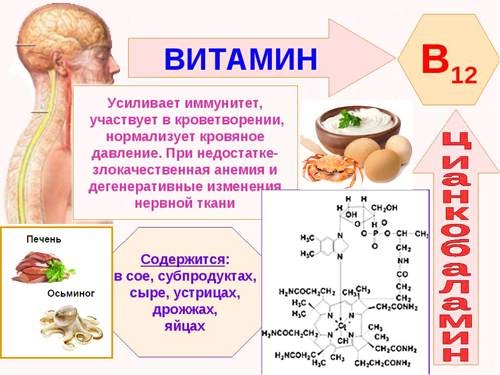 Полезные свойства витамина В12