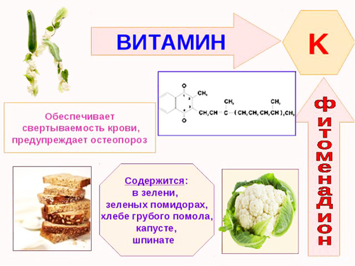 Полезные свойства витамина К